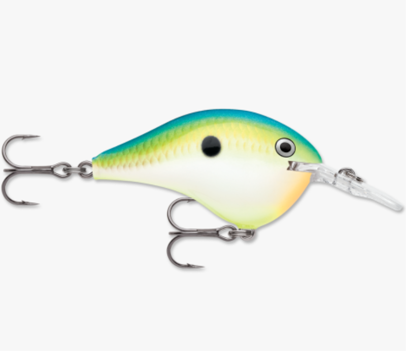 RAPALA DT06CTSD CRNKBT CP3