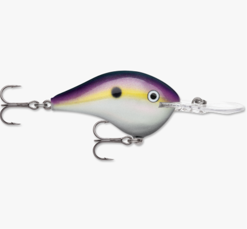 RAPALA DT10BGSD CRNKBT CP3
