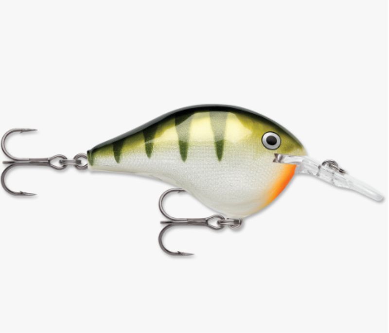 RAPALA DT08YP DIVES TO 08 CP3
