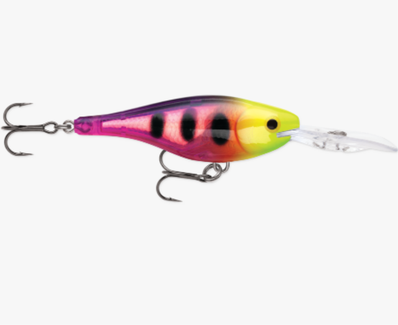 RAPALA GSR04FPNG SHAD RAP CP3