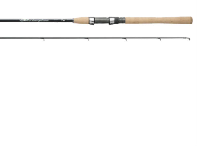 DAIWA PCYN611ULFS SPIN ROD C5
