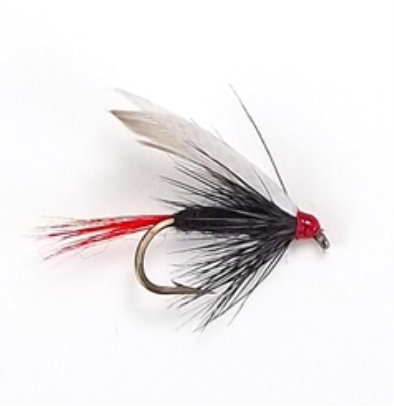 GAPEN 12010GA WET FLY CP6