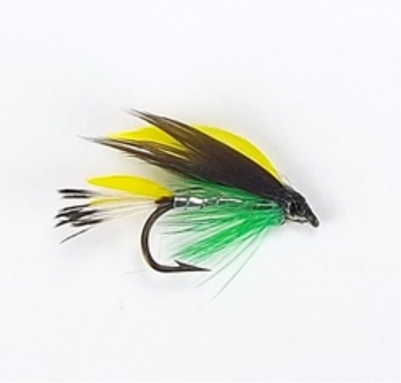GAPEN 12013GA WET FLY CP6