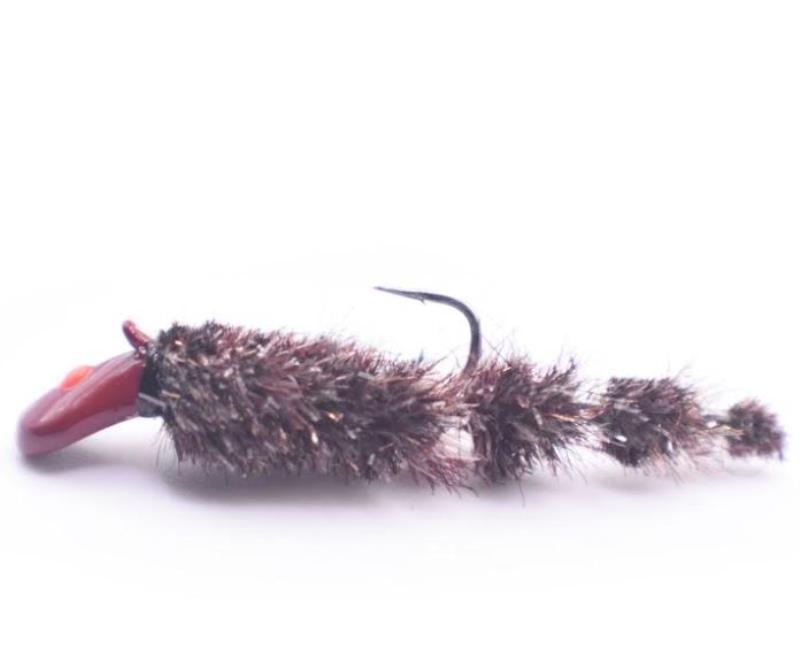 KENDERS BJ33 TNGSTN LEECH CP6